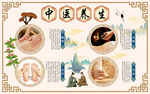 中医推拿背景墙