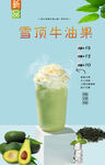 雪顶牛油果 
