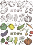 蔬菜集锦