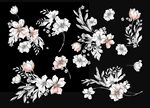 北欧风手绘素描花卉分层素材