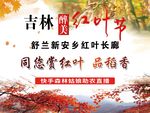 赏红叶  品稻香