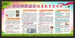 预防骨质疏松宣传栏
