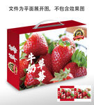 奶油草莓礼盒