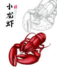 手绘龙虾