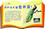 十万个为什么