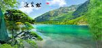 迎客松