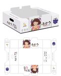 葡萄包装箱设计 展开图