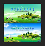 保护鸟类