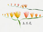 水彩手绘玉兰花