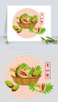 矢量坚果插画开心果