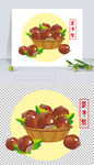矢量坚果插画栗子