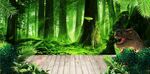 深林背景
