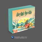 杨梅包装