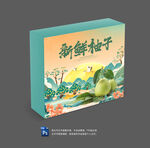 柚子包装