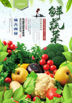 鲜蔬菜