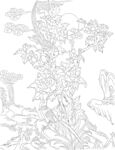 牡丹花鸟
