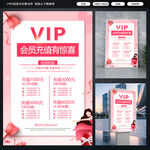 VIP会员