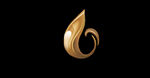鎏金 油 水花 LOGO 中式
