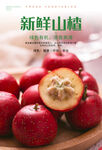 新鲜山楂海报