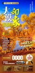 大漠印象胡杨林