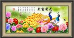 孔雀图