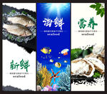 水产海报