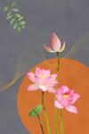 荷花装饰画
