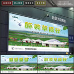 草原