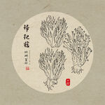 手绘扫把菇