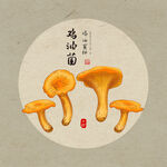 手绘鸡油菌