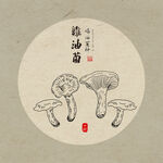 手绘鸡油菌