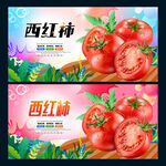 西红柿