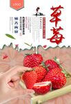 草莓 