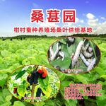桑葚园基地户外广告