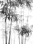 水墨竹子 竹林