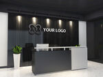 LOGO展示前样机 前台样机 