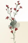红色花朵装饰画