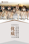 经营理念