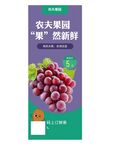 葡萄展架图片