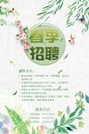 春季招聘