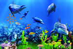 海洋世界海底世界3D海底图片