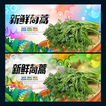 茼蒿