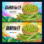 豌豆