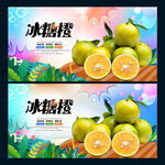 冰糖橙