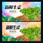 生菜