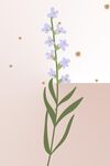 小碎花装饰画