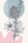 花卉线条