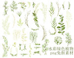 水彩绿色植物
