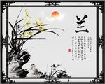 兰花