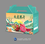 火龙果干包装